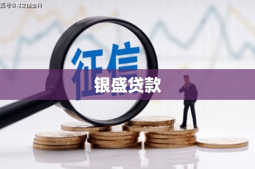 平镇银盛贷款