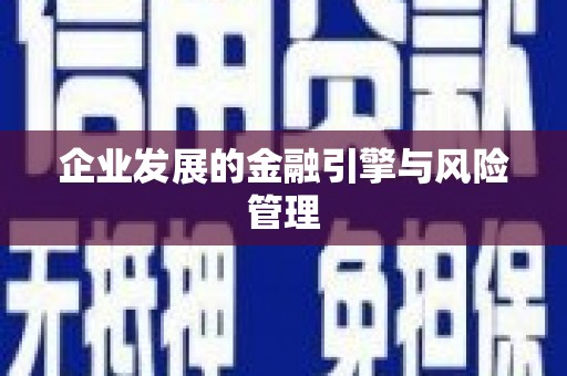 泸水企业发展的金融引擎与风险管理