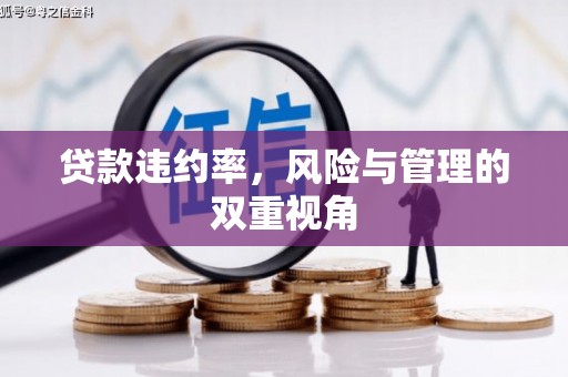 兴县贷款违约率，风险与管理的双重视角