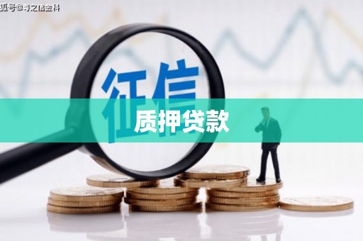 凤泉质押贷款