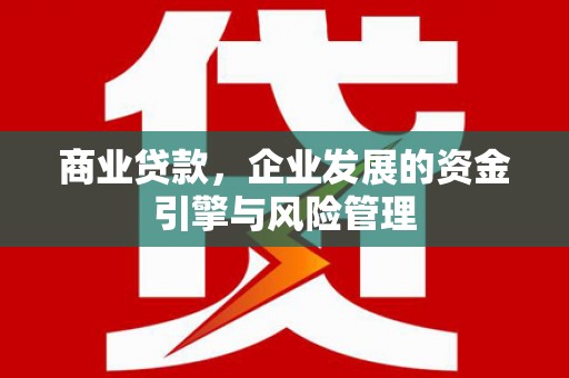 镇康商业贷款，企业发展的资金引擎与风险管理
