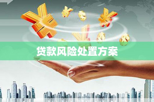 临湘贷款风险处置方案