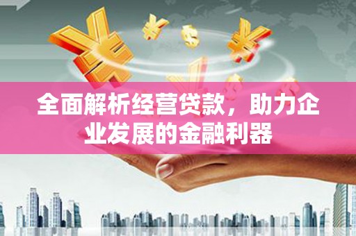 前金全面解析经营贷款，助力企业发展的金融利器
