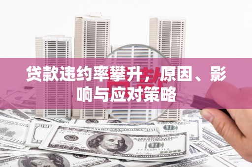路环岛贷款违约率攀升，原因、影响与应对策略