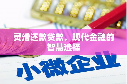 邵阳灵活还款贷款，现代金融的智慧选择