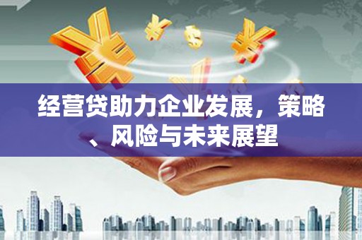 凤县经营贷助力企业发展，策略、风险与未来展望