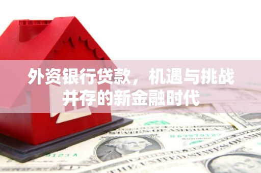 兰州外资银行贷款，机遇与挑战并存的新金融时代