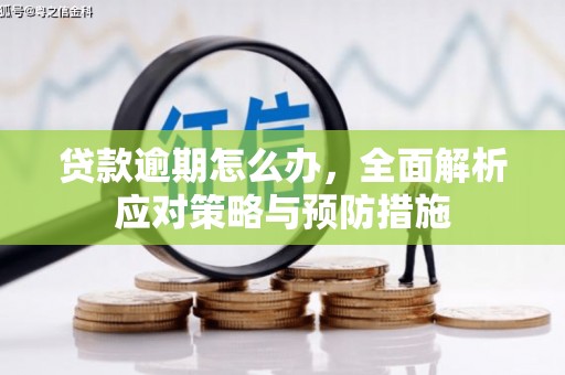 剑川贷款逾期怎么办，全面解析应对策略与预防措施