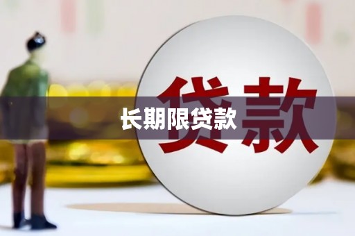 赵县长期限贷款