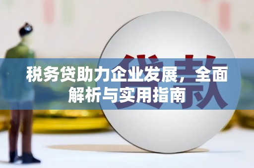 林西税务贷助力企业发展，全面解析与实用指南