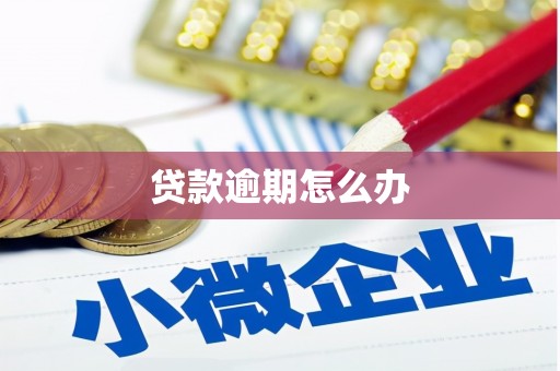 葵青贷款逾期怎么办