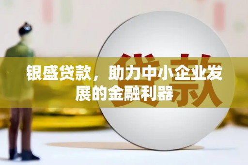 定海银盛贷款，助力中小企业发展的金融利器