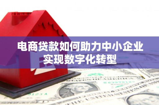 布拖电商贷款如何助力中小企业实现数字化转型