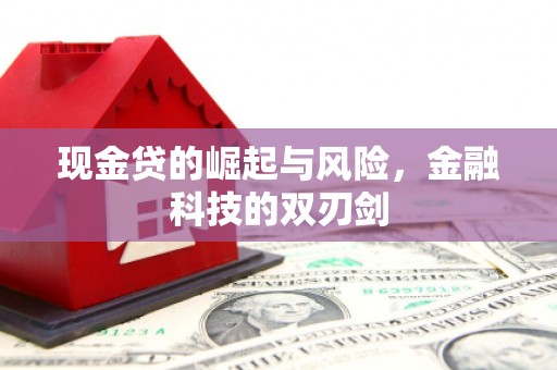 大内现金贷的崛起与风险，金融科技的双刃剑