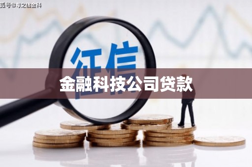 阿勒泰金融科技公司贷款