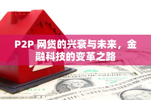 九原P2P 网贷的兴衰与未来，金融科技的变革之路