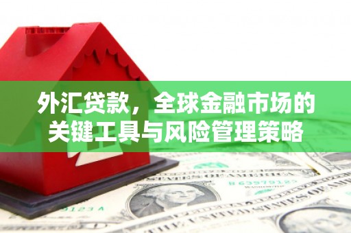 富县外汇贷款，全球金融市场的关键工具与风险管理策略
