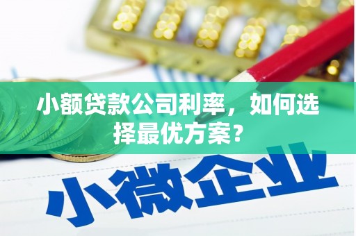 六横小额贷款公司利率，如何选择最优方案？
