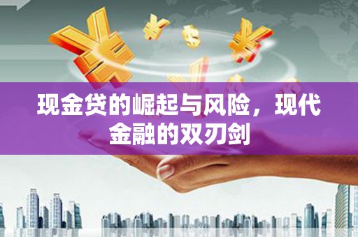 永善现金贷的崛起与风险，现代金融的双刃剑