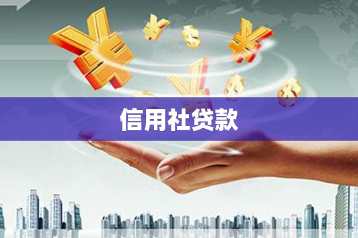 中宁信用社贷款