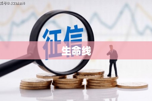 宁晋生命线