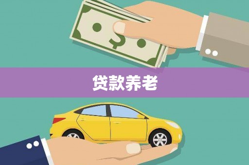 湖西贷款养老