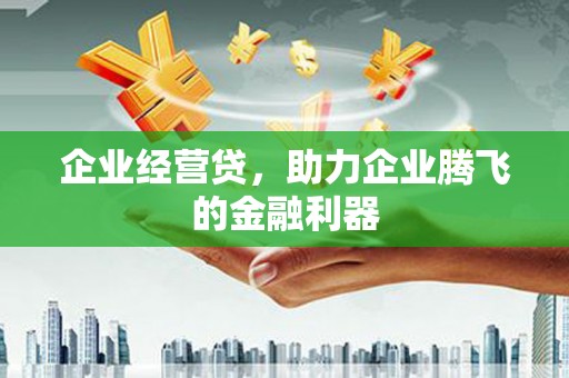 市中区企业经营贷，助力企业腾飞的金融利器