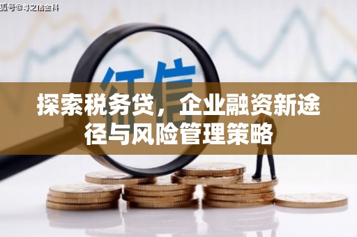 礁溪探索税务贷，企业融资新途径与风险管理策略