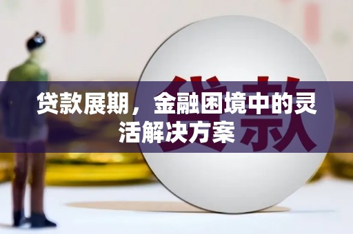 沈河贷款展期，金融困境中的灵活解决方案
