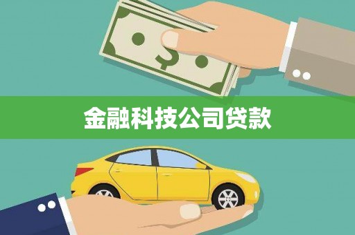岱岳金融科技公司贷款