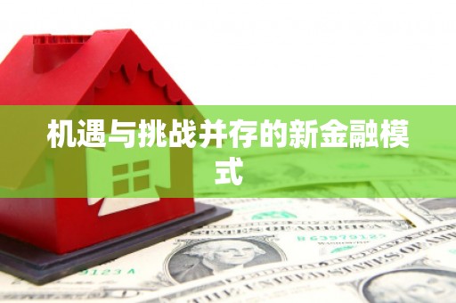 开化机遇与挑战并存的新金融模式