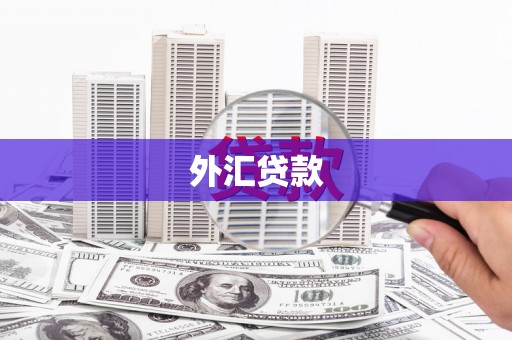 鹿草外汇贷款