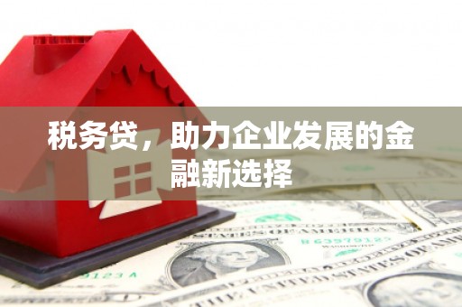 华阴税务贷，助力企业发展的金融新选择