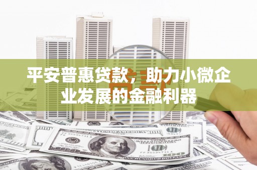 大渡口平安普惠贷款，助力小微企业发展的金融利器