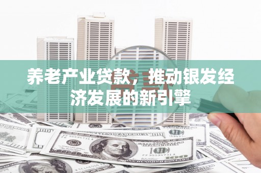 竹崎养老产业贷款，推动银发经济发展的新引擎
