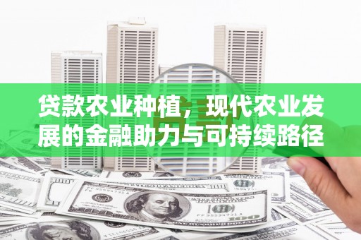 雨山贷款农业种植，现代农业发展的金融助力与可持续路径
