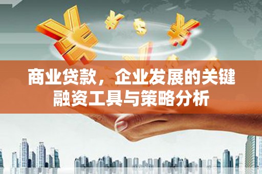 临沭商业贷款，企业发展的关键融资工具与策略分析