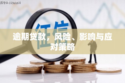 贵德逾期贷款，风险、影响与应对策略