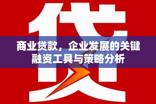 中堂商业贷款，企业发展的关键融资工具与策略分析