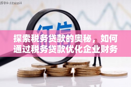 潭子探索税务贷款的奥秘，如何通过税务贷款优化企业财务