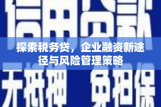 武江探索税务贷，企业融资新途径与风险管理策略
