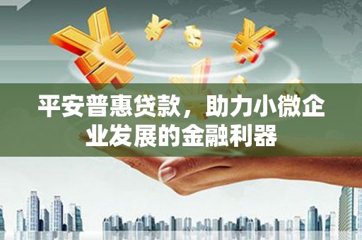 海兴平安普惠贷款，助力小微企业发展的金融利器
