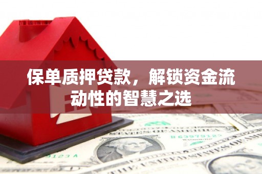大涌保单质押贷款，解锁资金流动性的智慧之选
