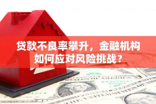 中堂贷款不良率攀升，金融机构如何应对风险挑战？