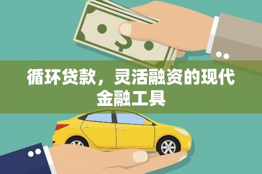 曲麻莱循环贷款，灵活融资的现代金融工具