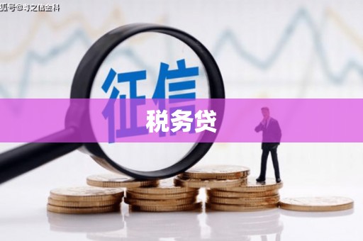 思南税务贷