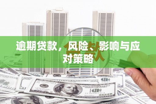尼玛逾期贷款，风险、影响与应对策略