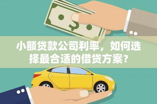 驻马店小额贷款公司利率，如何选择最合适的借贷方案？
