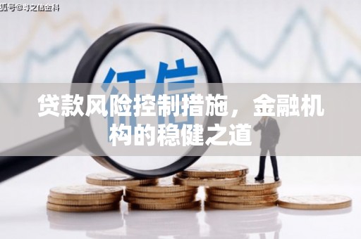 志丹贷款风险控制措施，金融机构的稳健之道