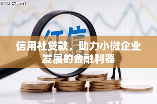 秦皇岛信用社贷款，助力小微企业发展的金融利器
